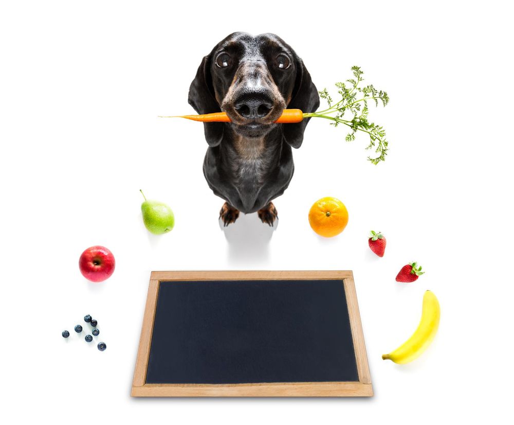 Frutta e verdura che i cani possono o non possono mangiare