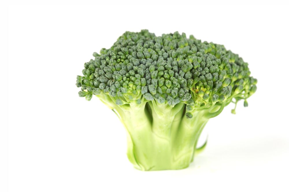 I cani possono mangiare i broccoli