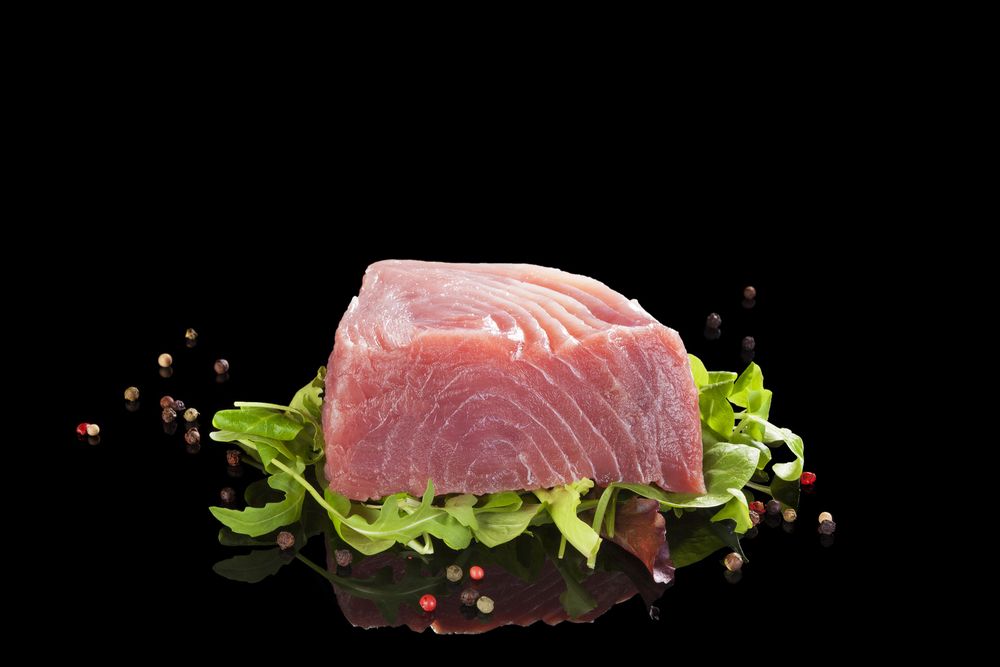 I cani possono mangiare il tonno