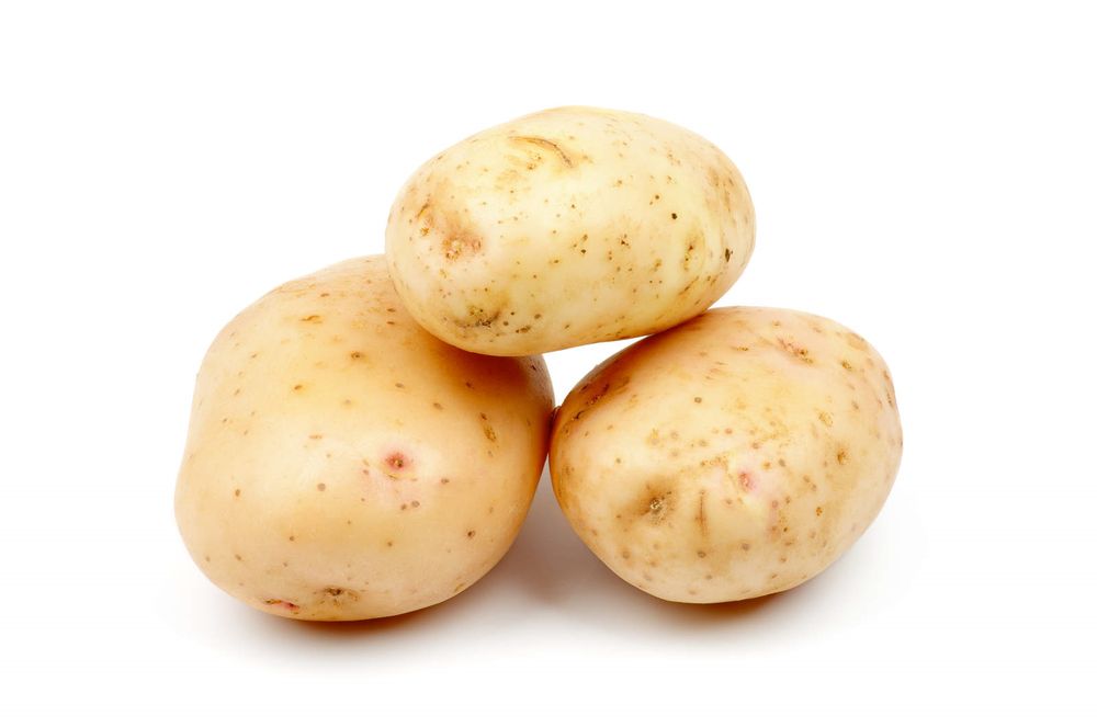 I cani possono mangiare le patate