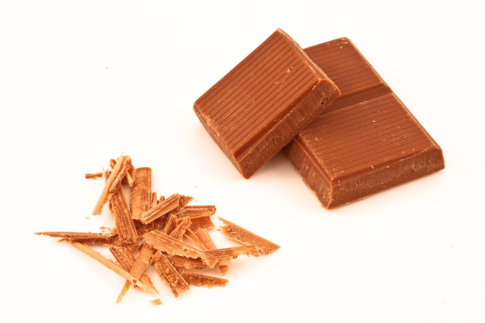 I cani possono mangiare il cioccolato